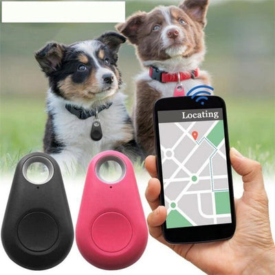 GPS Pet Tracker